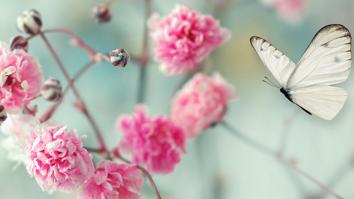 Dekbedovertrek Good Morning Adel - Mint detail