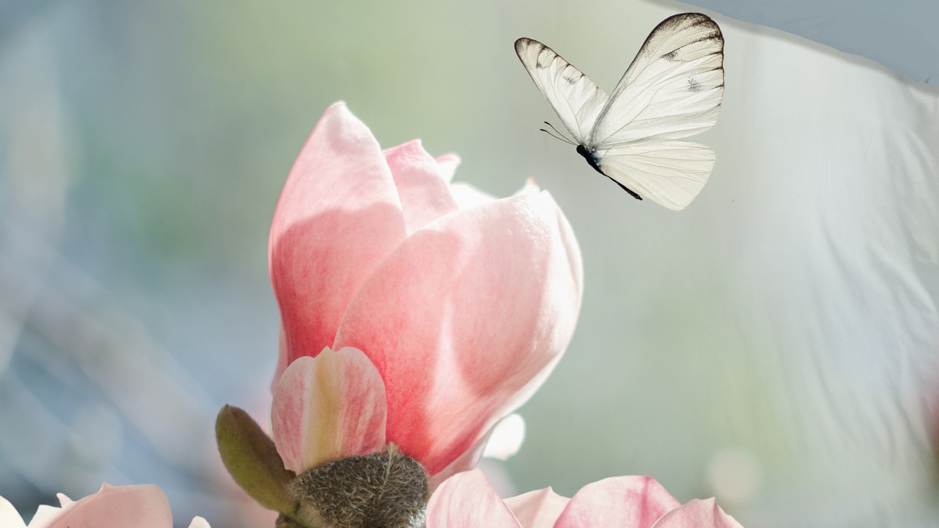 Dekbedovertrek Good Morning Close - Multi detail