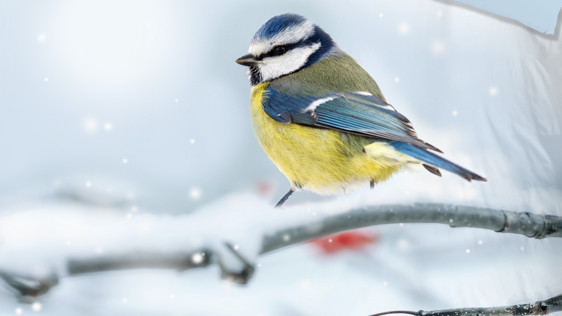 Dekbedovertrek Good Morning Crisp - Multi details