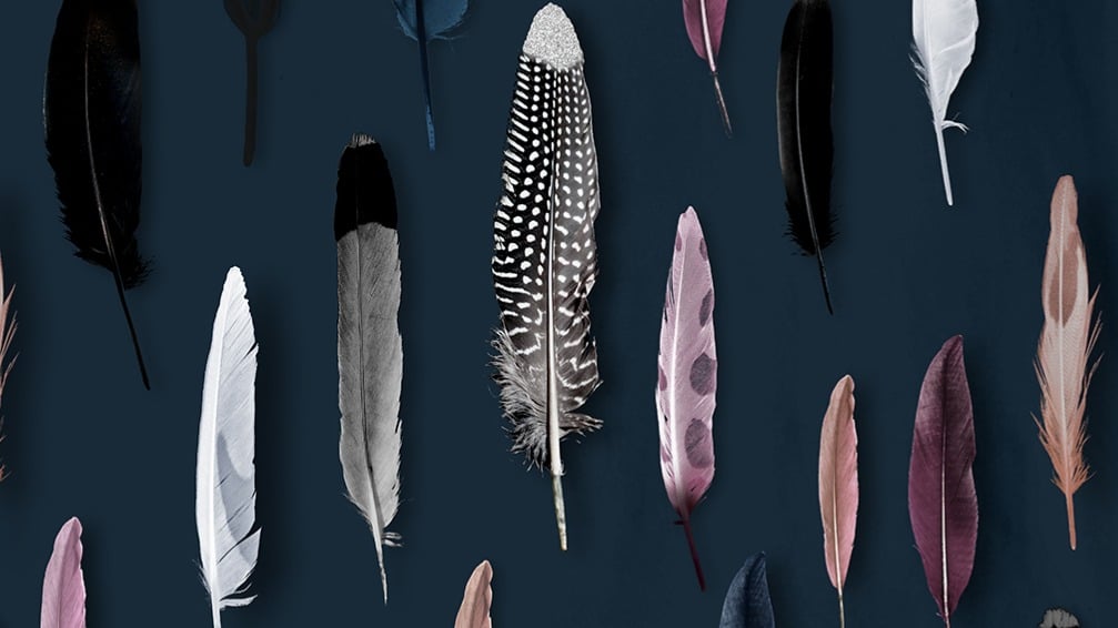 Dekbedovertrek Good Morning Feathers - Blue  details