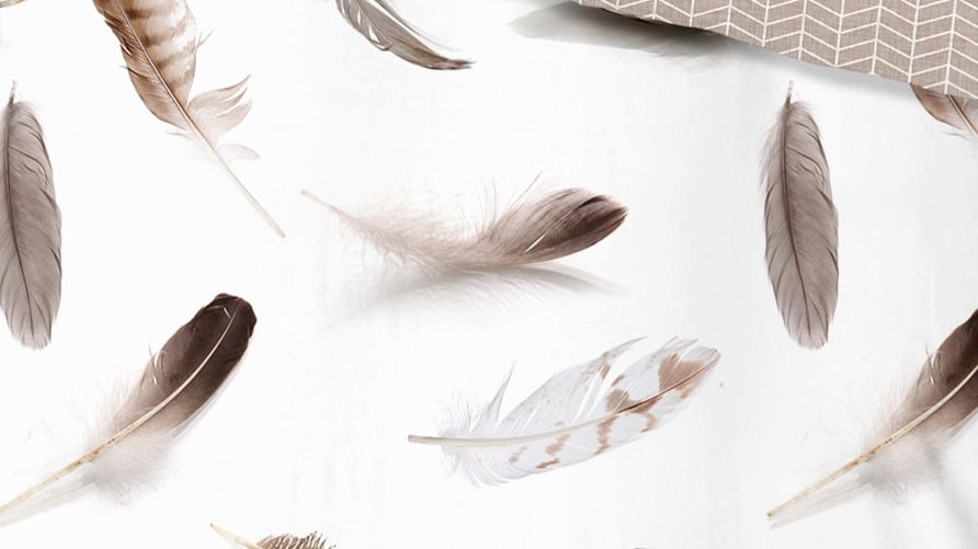 Dekbedovertrek Good Morning Feathers - White details