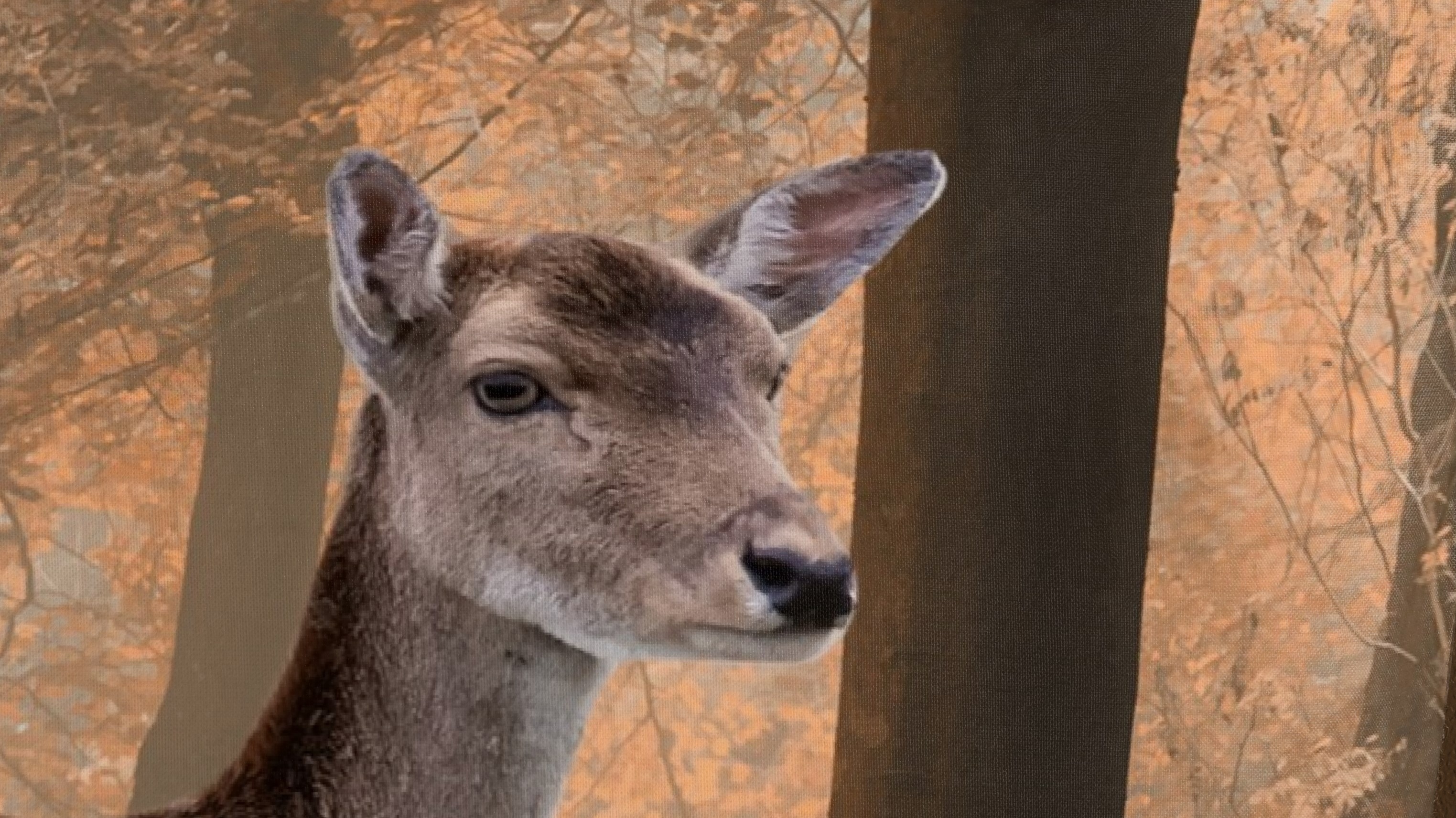 Dekbedovertrek Good Morning Gavin - Brown detail