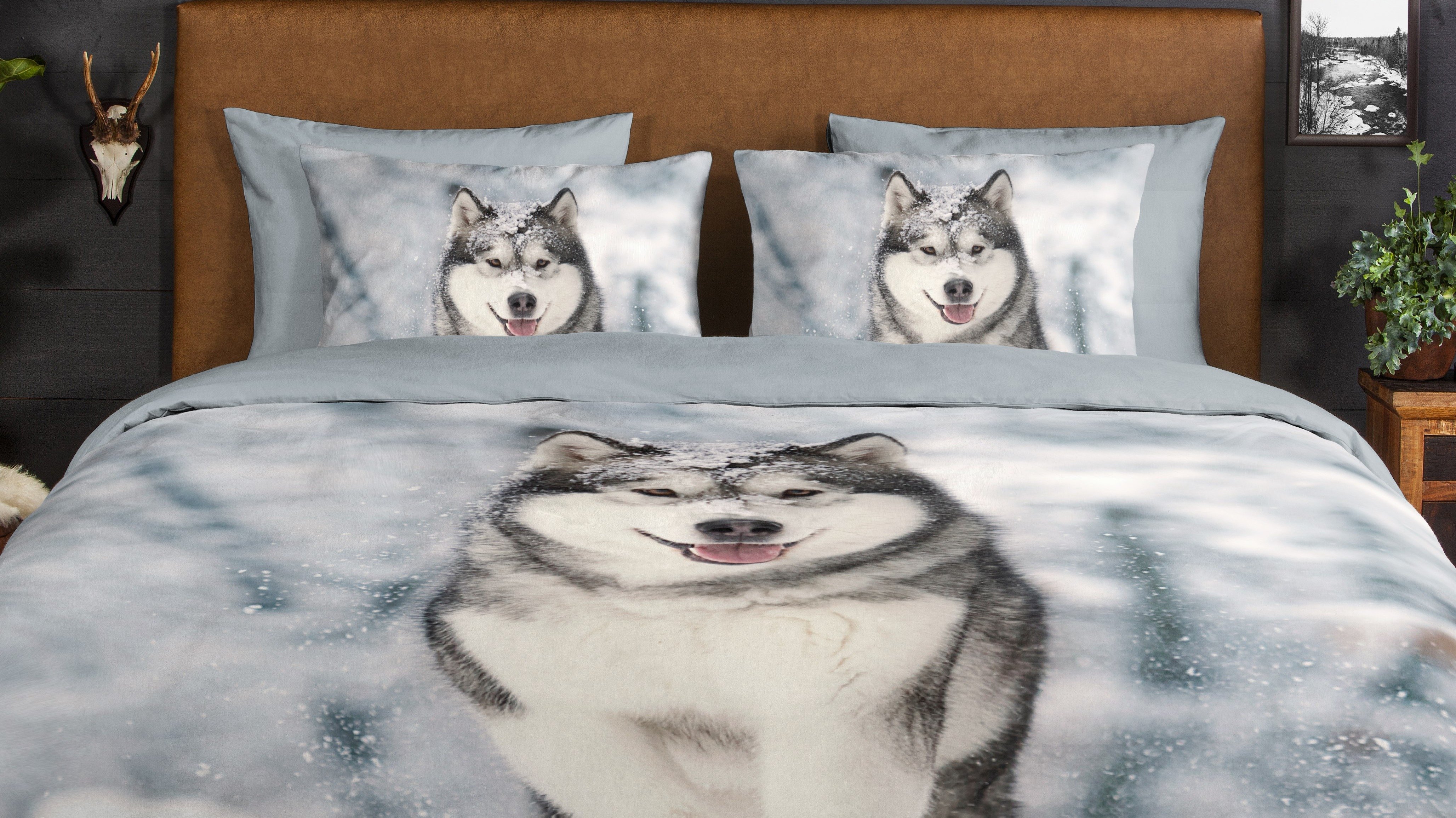 Dekbedovertrek Good Morning Husky - Grey close up