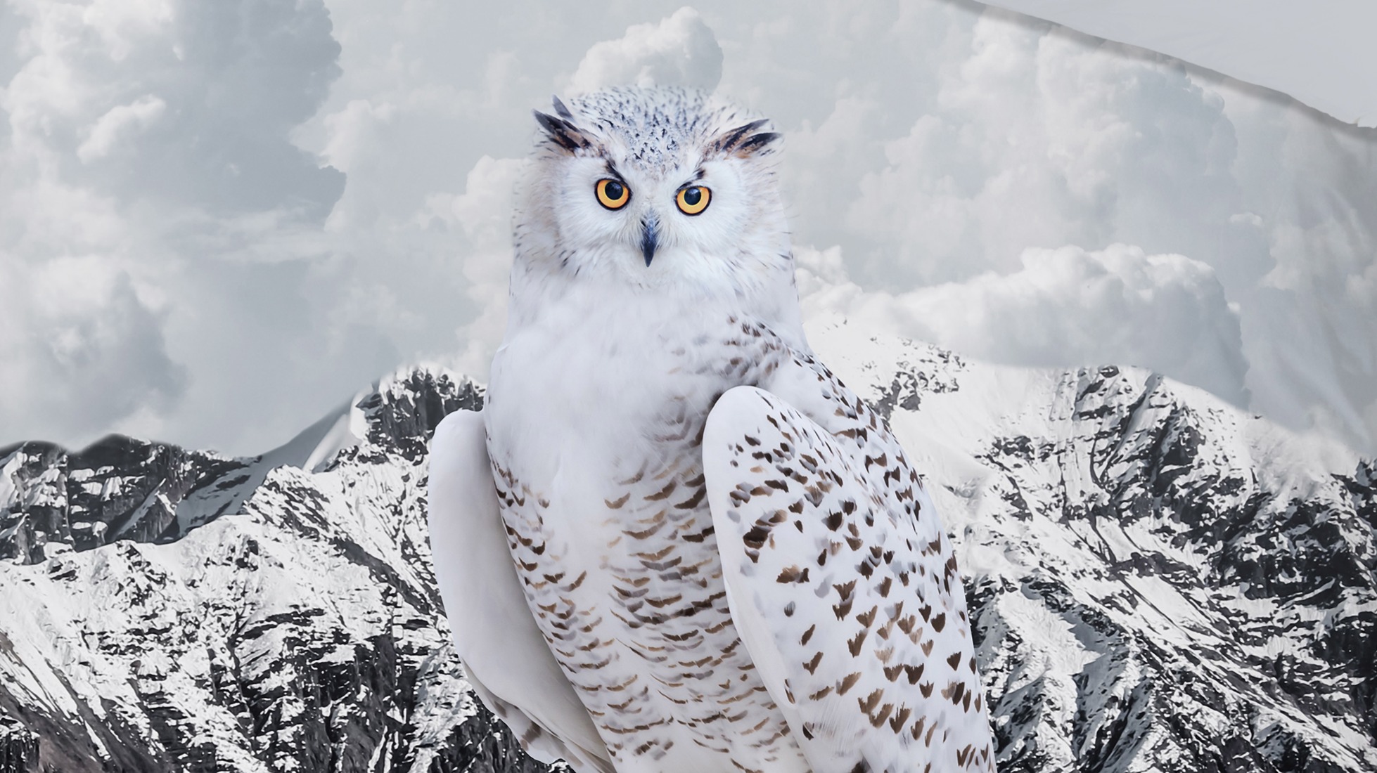 Dekbedovertrek Good Morning Jacob - Grey detail