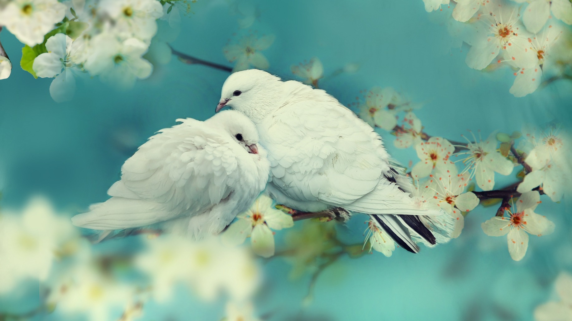 Dekbedovertrek Good Morning Loving - Aqua details