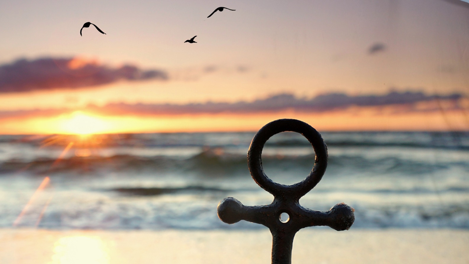 Dekbedovertrek Good Morning Mar - Multi detail