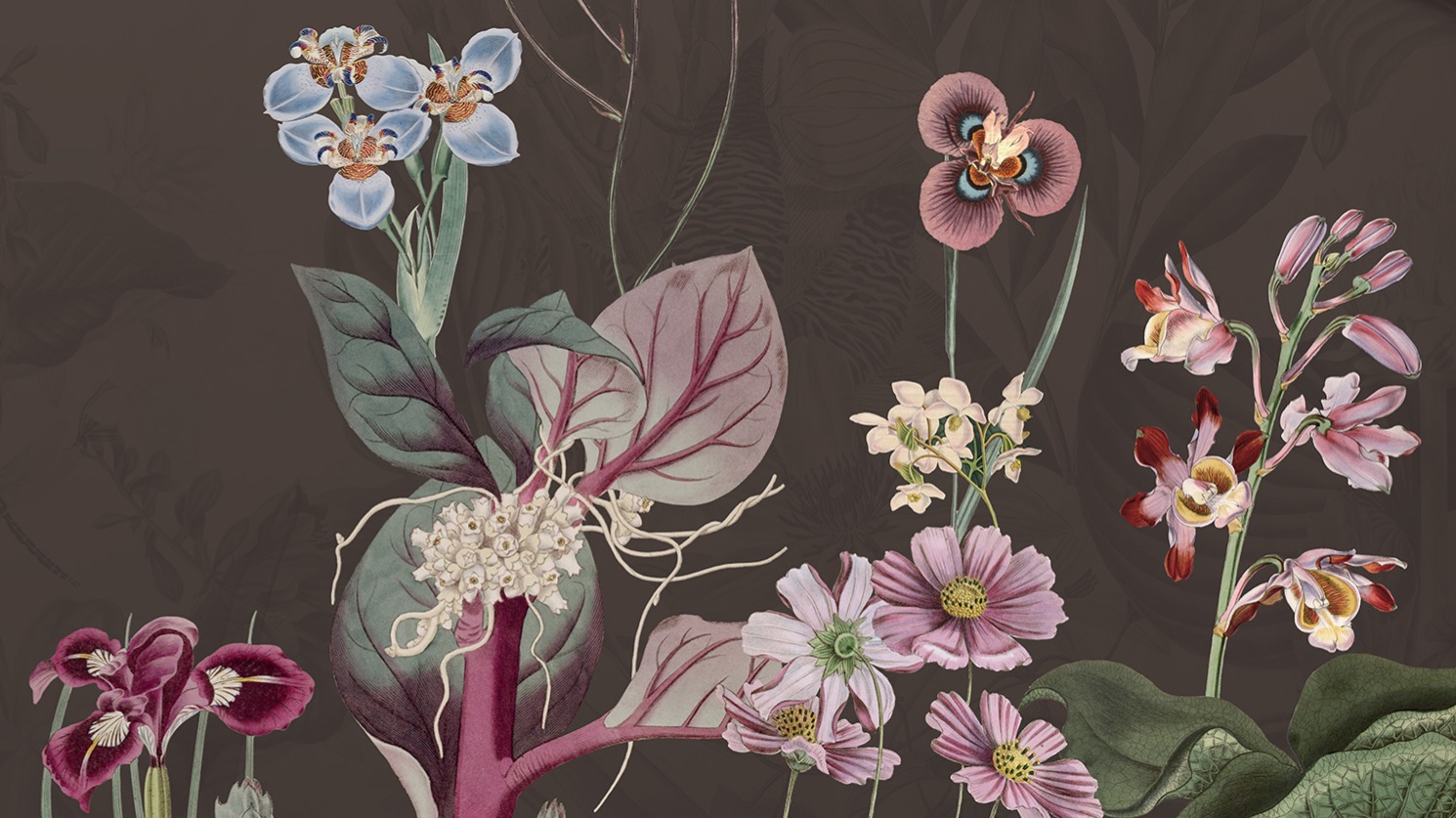 Dekbedovertrek Good Morning Phoebe - Brown details