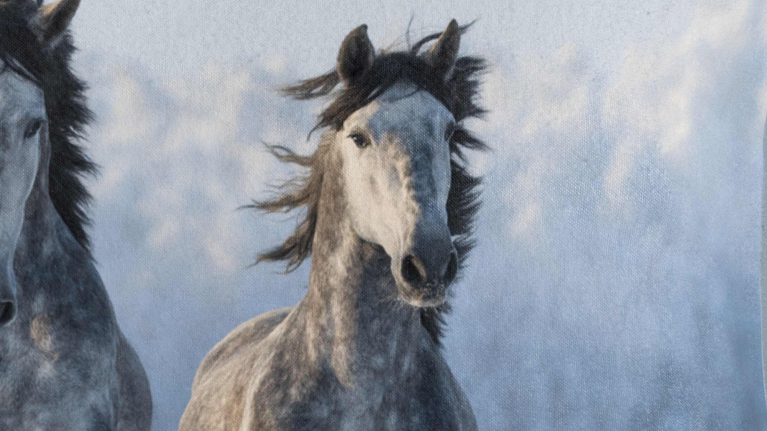 Dekbedovertrek Good Morning Snowhorses - Grey detail