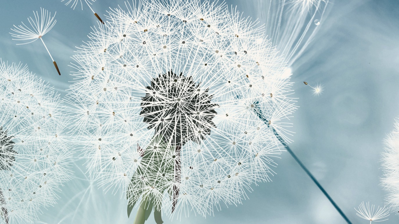 Dekbedovertrek Good Morning Wishfull - Multi details