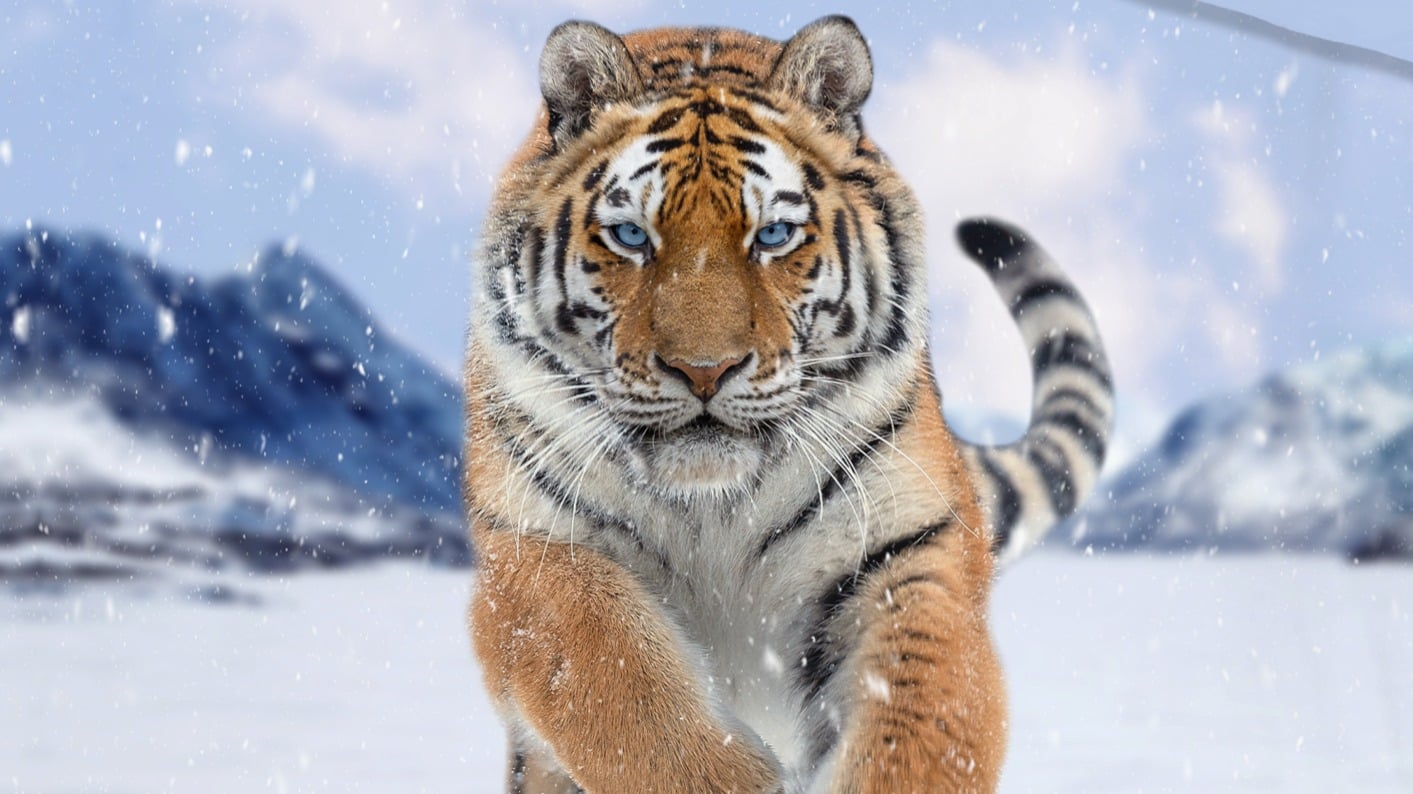 Dekbedovertrek Good Morning Zelda - Multi detail