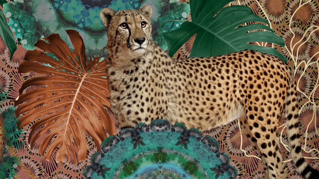 Dekbedovertrek Hip Zenta - Multi detail