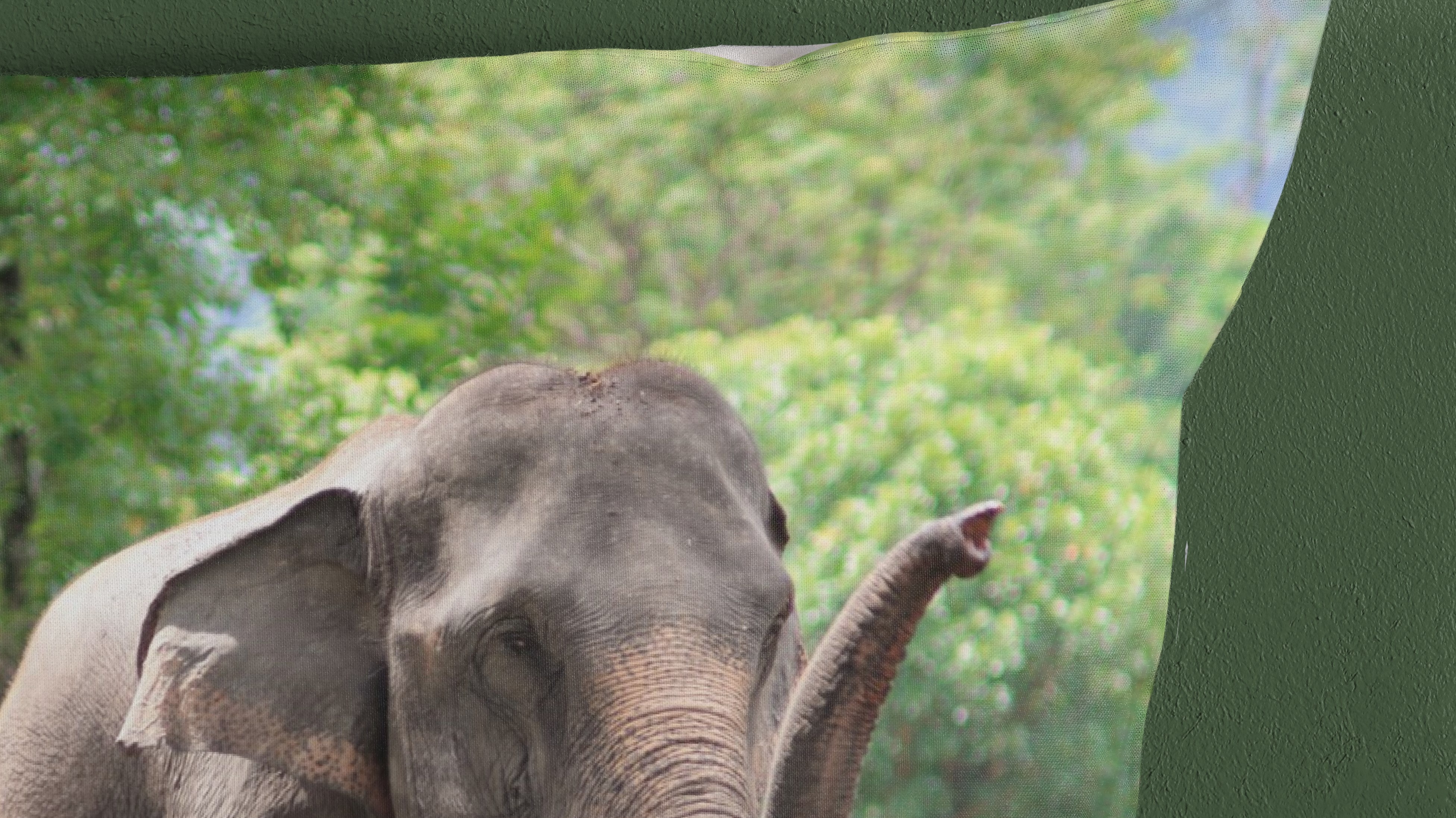 Dekbedovertrek Kids Good Morning Elephants - Green pillow