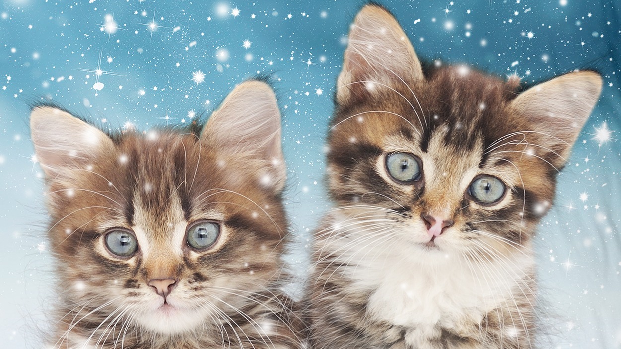 Dekbedovertrek Kids Good Morning Family - Blue detail