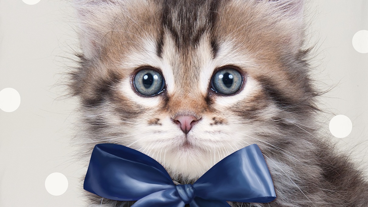 Dekbedovertrek Kids Good Morning Mae - Blue detail