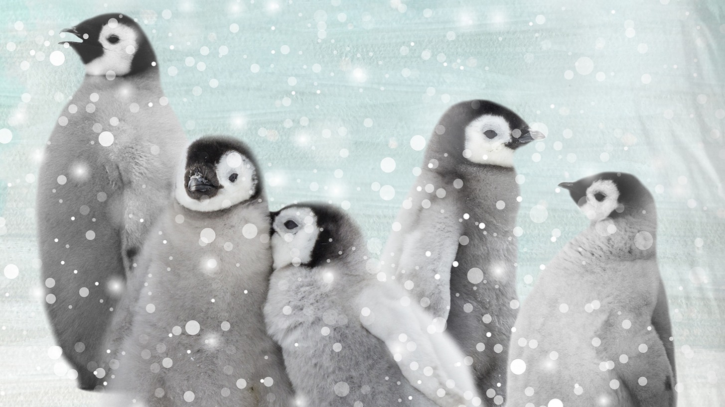 Dekbedovertrek Kids Good Morning Pengu - Blue detail