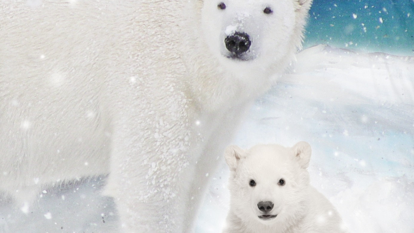 Dekbedovertrek Kids Good Morning Polar - Multi details