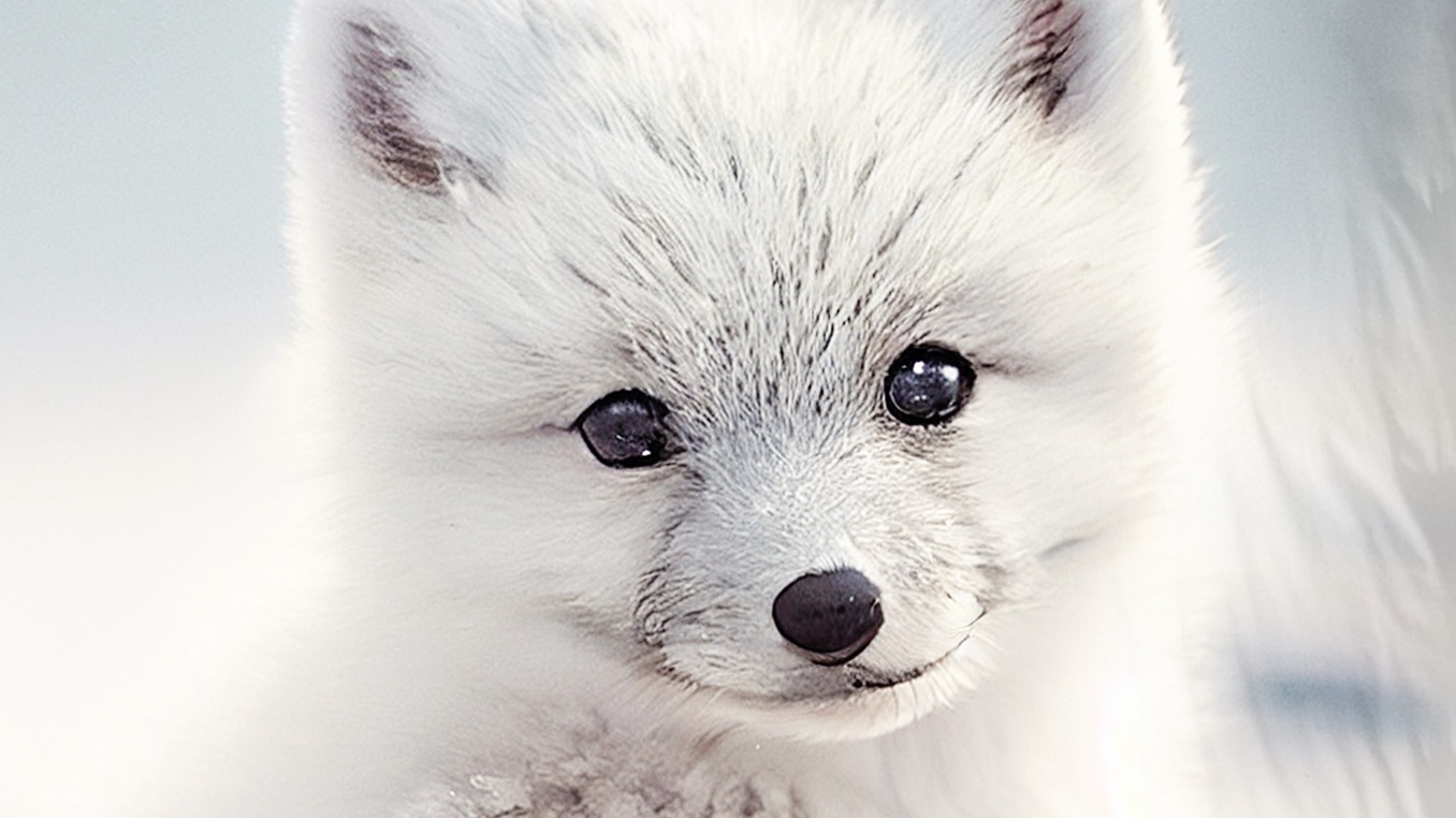 Dekbedovertrek Kids Good Morning Toss - White detail