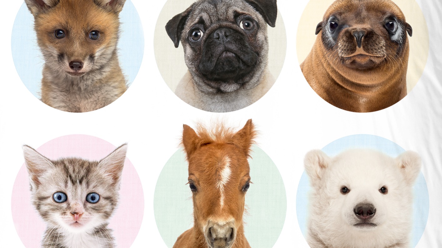 Dekbedovertrek Kids Good Morning Young Animals - Multi details