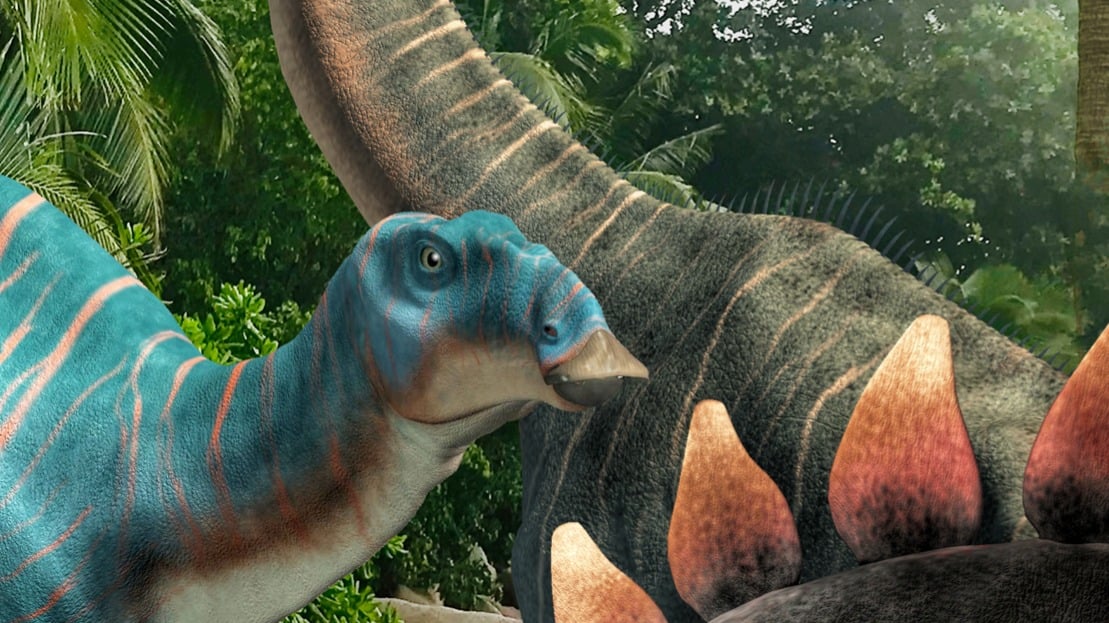 Dekbedovertrek Kids Pure Neneh - Multi detail