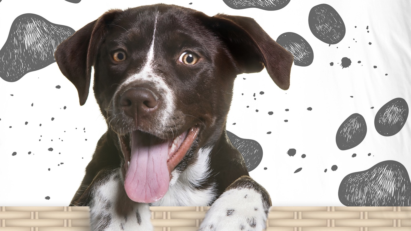 Dekbedovertrek Kids Pure Yuan - Multi detail