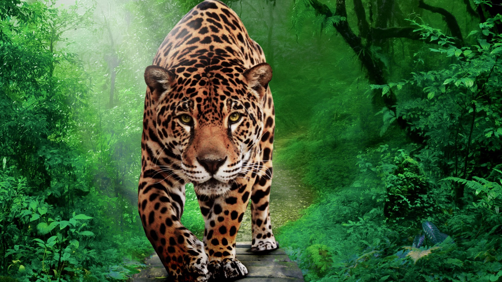 Dekbedovertrek Pure Amazone - Multi detail