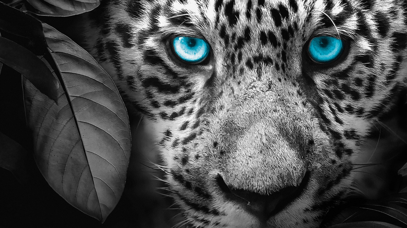 Dekbedovertrek Pure Blue Eyes - Anthracite detail