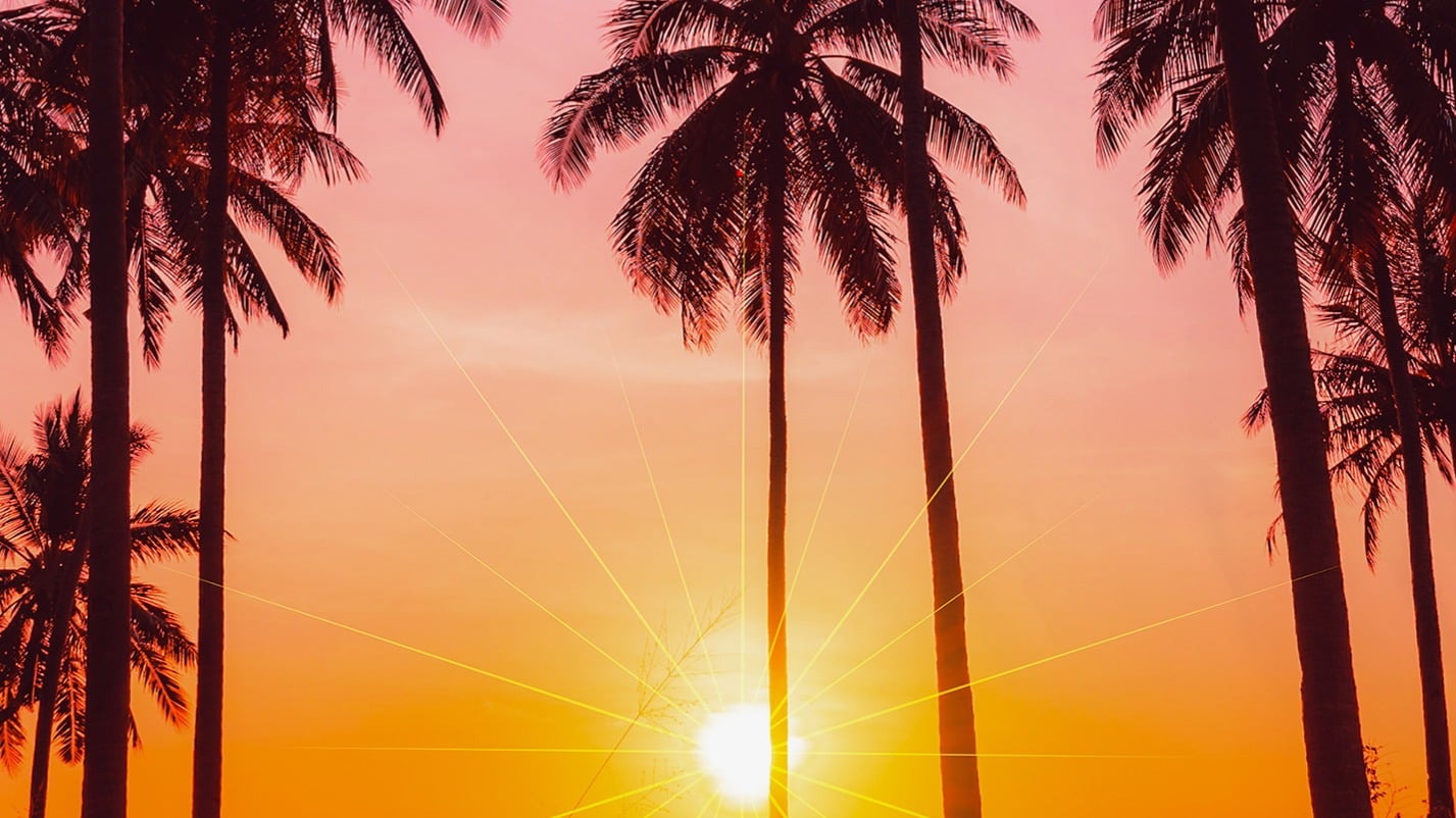 Dekbedovertrek Pure Bora Bora - Multi detail