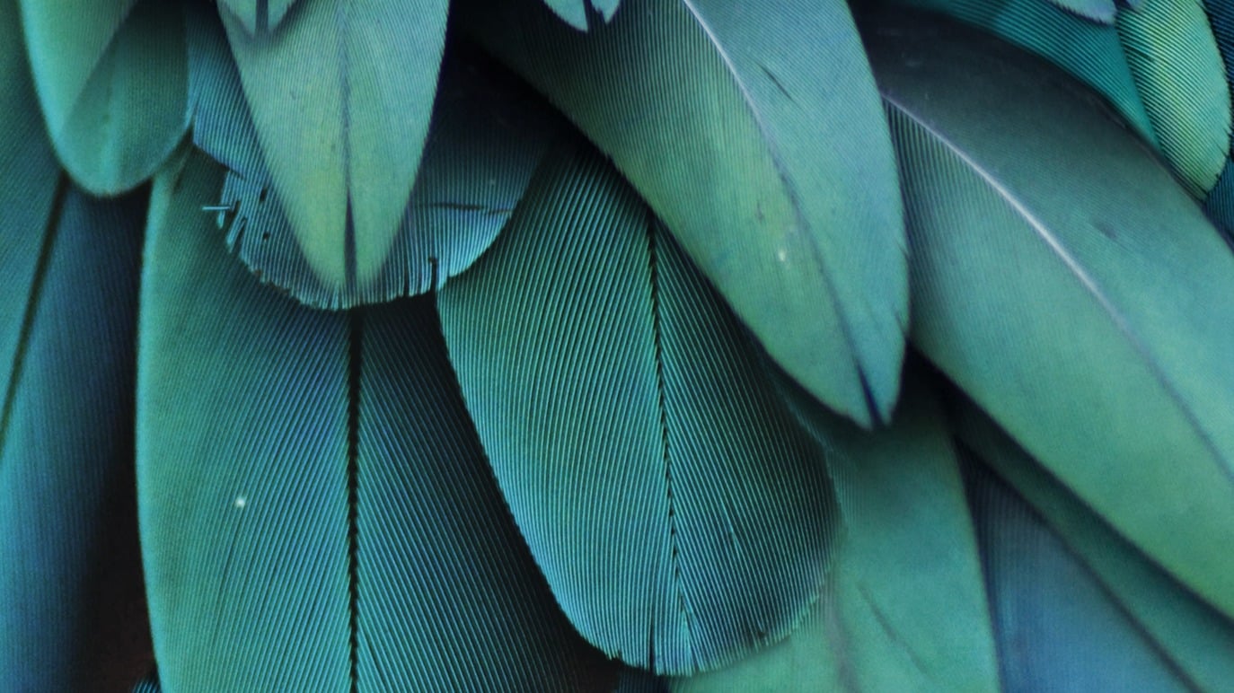 Dekbedovertrek Pure Heather - Petrol detail