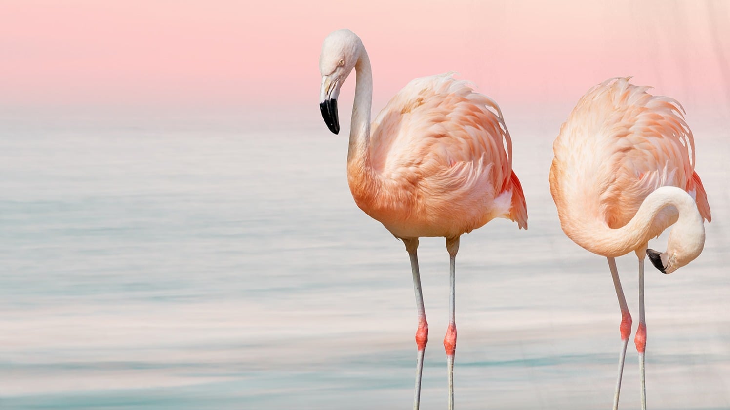 Dekbedovertrek Pure Lounge - Multi detail