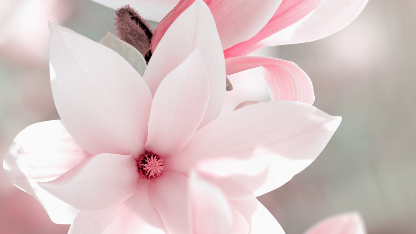 Dekbedovertrek Pure Magna - Pink detail