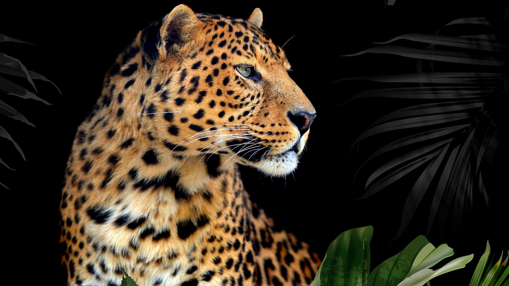 Dekbedovertrek Pure Mala - Black topshot detail