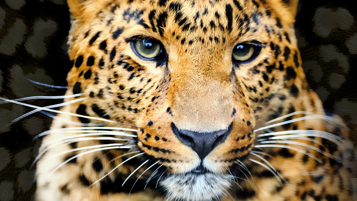 Dekbedovertrek Pure Rayan - Black detail