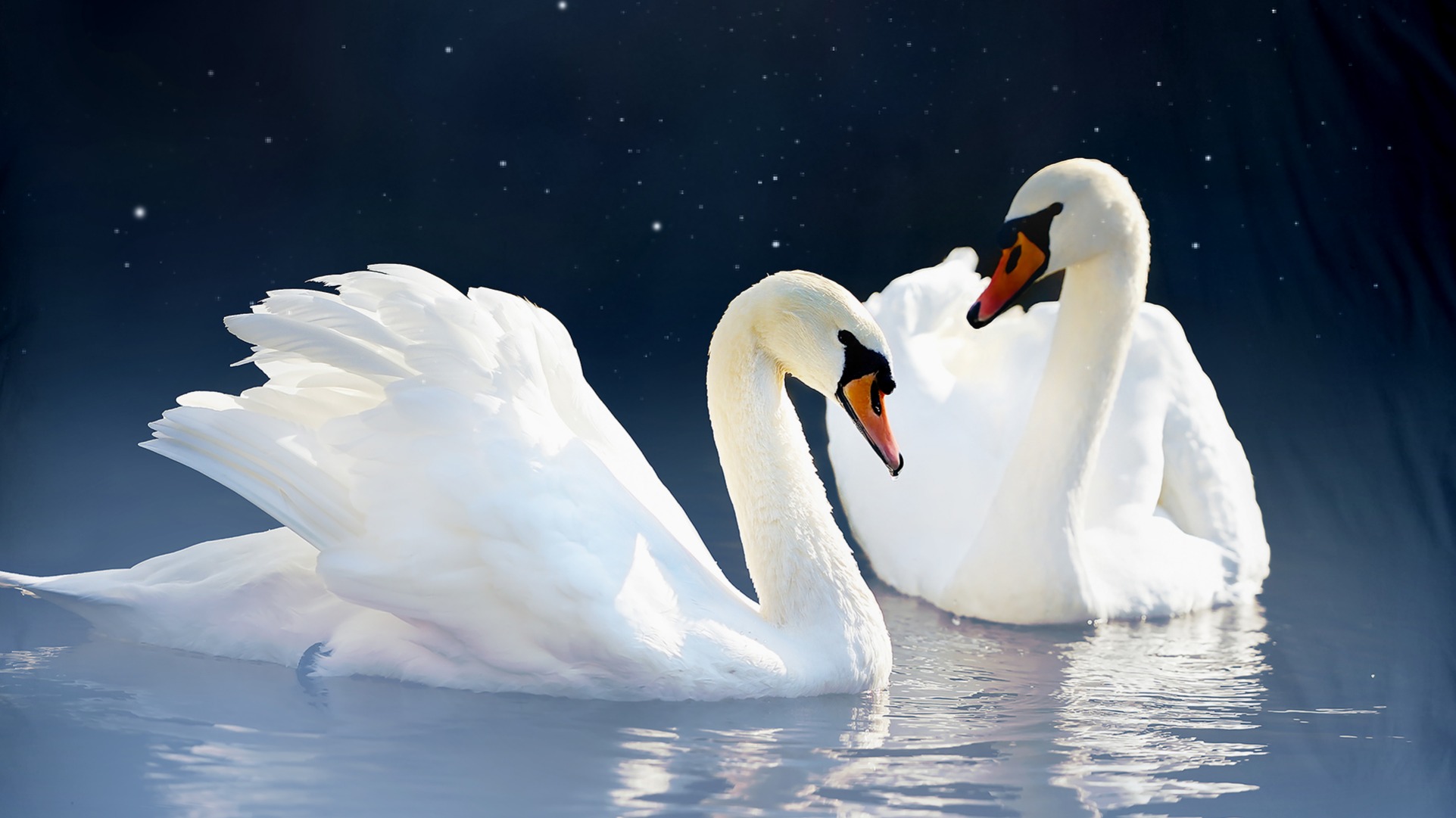 Dekbedovertrek Pure Share - Blue detail