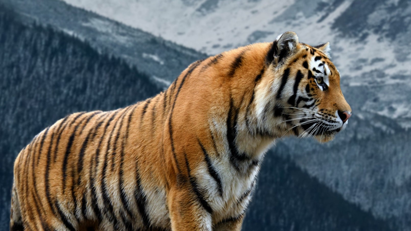 Dekbedovertrek Pure Sky - Multi detail