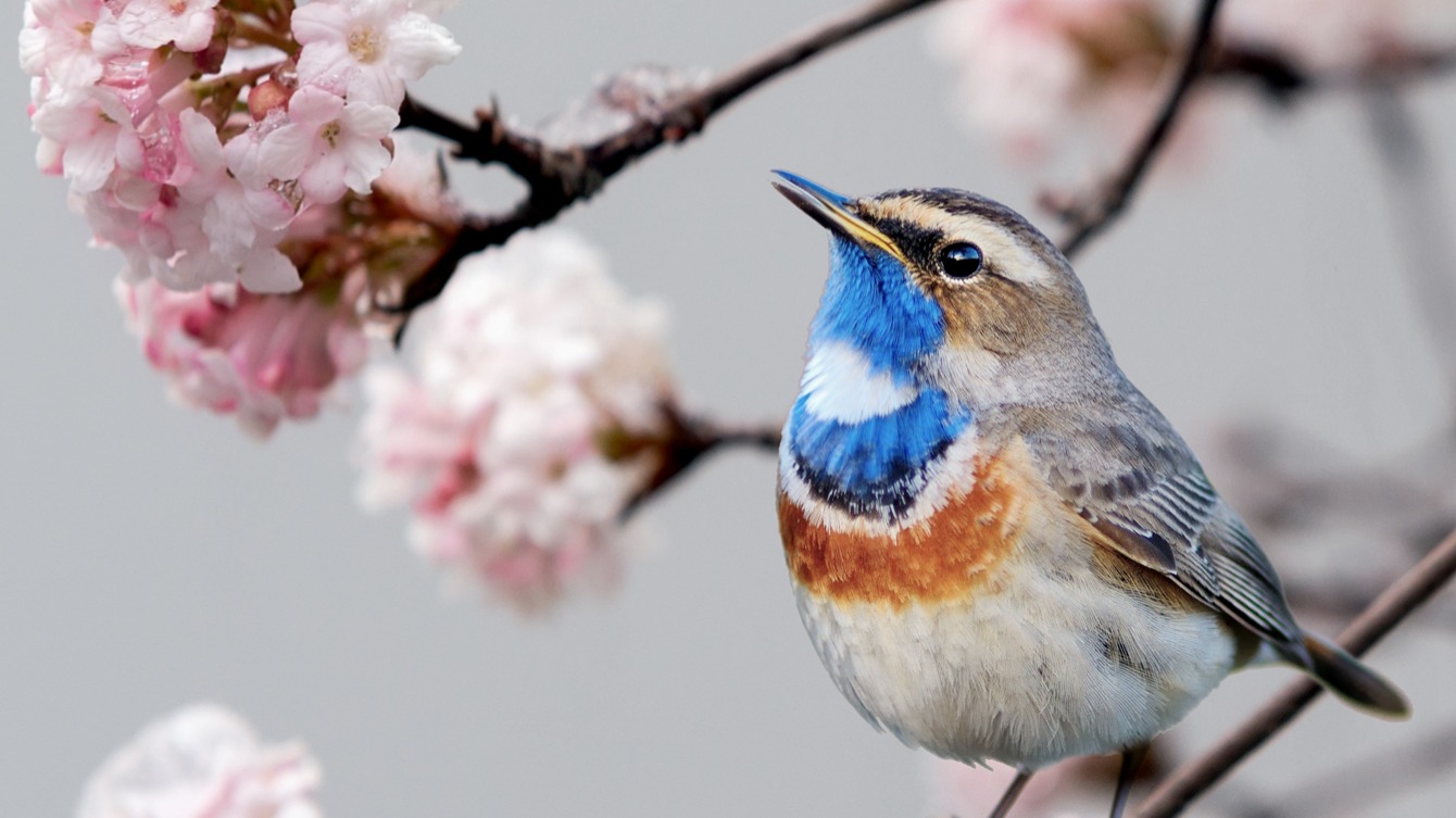 Dekbedovertrek Pure Yule - Grey detail