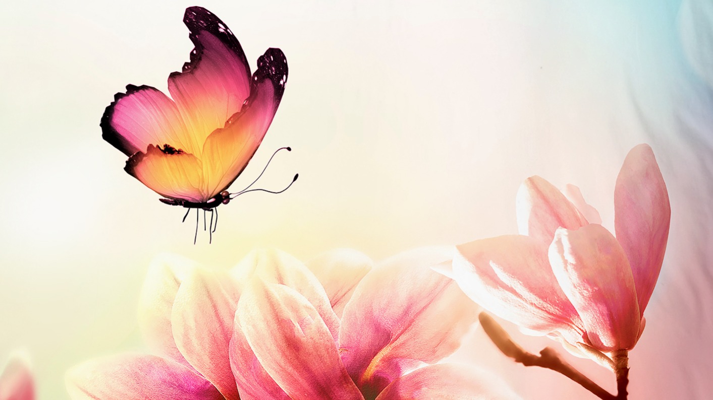 Dekbedovertrek Pure Yuni - Multi detail