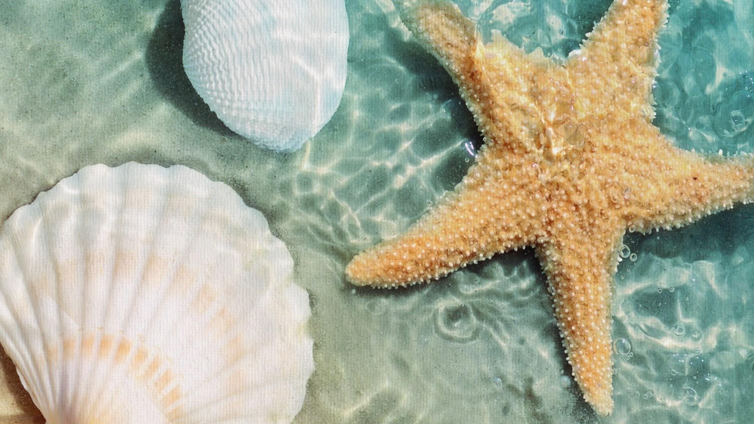 Strandlaken Good Morning Beachvibe - Multi detail