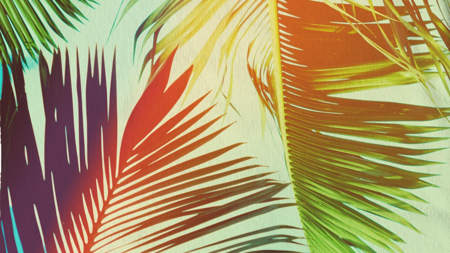 Strandlaken Good Morning Palms - Multi detail